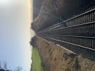 IMG_6263.jpeg