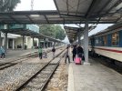 IMG_7237.jpeg