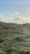 IMG_3309.jpeg