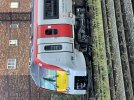 IMG_3978.jpeg