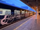 IMG_4249.jpeg