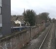IMG_6270.jpeg
