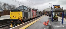 37601.jpg