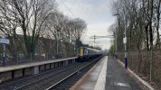 IMG_4714.jpeg