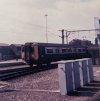 PXL_20230430_103501000.jpg