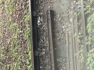 IMG_2548.jpeg