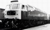 758-50054.jpg