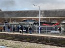 IMG_7325.jpeg