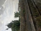 IMG_5324.jpeg