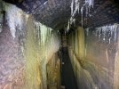 IMG_1270.jpeg