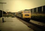 IMG_0156.jpeg