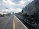 IMG_4841.jpeg