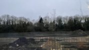 IMG_8798.jpeg