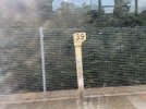 IMG_7888.jpeg
