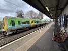 IMG_0298.jpeg