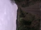 IMG_6517.jpeg
