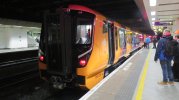 IMG_9132.jpeg