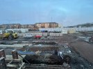 IMG_0527.jpeg
