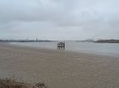 IMG_20240207_141427527.jpg