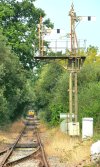 66762_Marchwood.jpg
