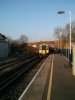 IMG_20140310_074001.jpg