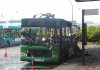DSCF8509.jpg