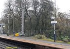 8 1st mast in the Station.jpg