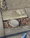IMG_8701.jpeg
