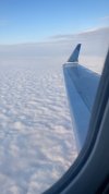 A350 wing.jpg