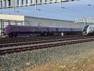 IMG_5677.jpeg