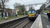 IMG_1674.jpeg