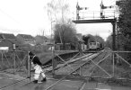 Marchwood_2_.jpg