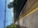 IMG_3222.jpeg