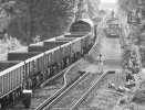 Warblington_NRworkers_1_.JPG