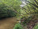 PXL_20240511_102535451.jpg