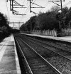 IMG_5176.jpeg