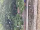 IMG_3162.jpeg