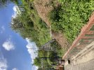 IMG_3164.jpeg