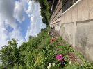 IMG_3165.jpeg