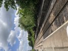 IMG_3166.jpeg