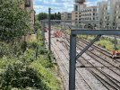 IMG_7400.jpeg