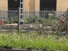 IMG_7409.jpeg