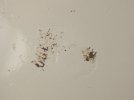 IMG_6839.jpeg