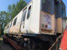 IMG_7900.jpeg