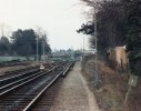 BJ-Branksome shed site 1986 - Copy1.jpg