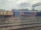 IMG_7081.jpeg