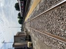 IMG_3942.jpeg