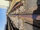 IMG_3945.jpeg