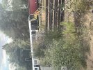 IMG_8565.jpeg
