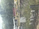 IMG_8563.jpeg